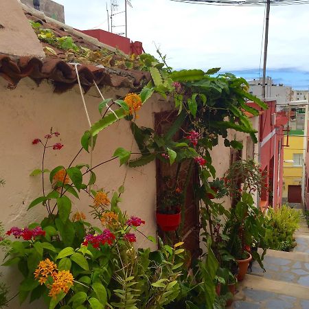הוילה Casa Nueva Tazacorte Puerto מראה חיצוני תמונה