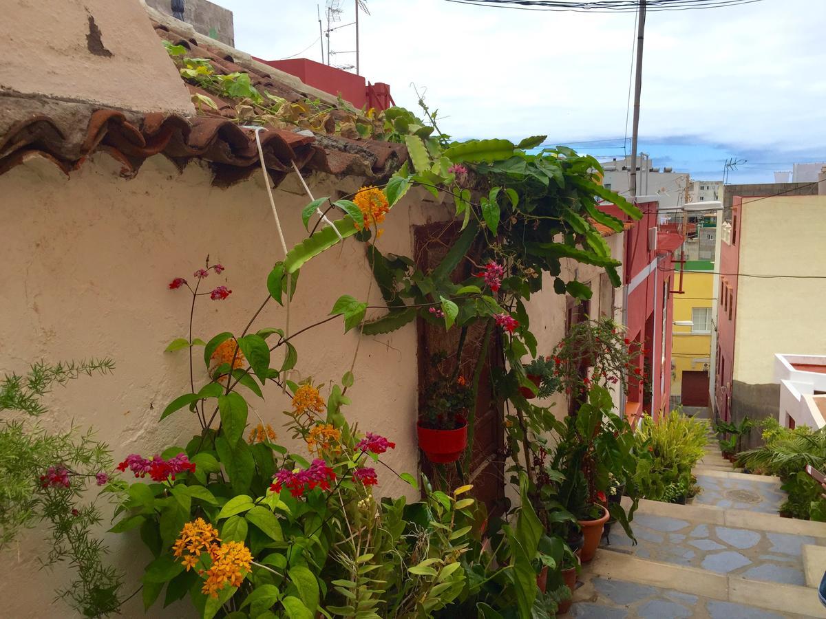 הוילה Casa Nueva Tazacorte Puerto מראה חיצוני תמונה